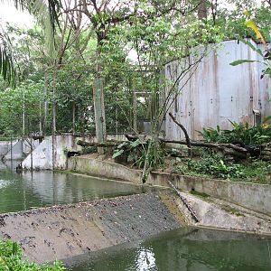 Zoo Negara Malaysia - Exhibit in the circular carnivore complex