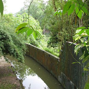 Zoo Negara Malaysia - Water moat of the Sumatran Orangutan exhibit
