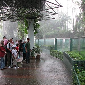 Zoo Negara Malaysia - Visitors in front of the Chimpanzee exhibit