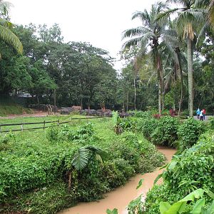 Zoo Negara Malaysia - Savannah view
