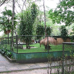 Zoo Negara Malaysia - Red-legged Pademelon enclosure
