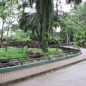 Zoo Negara Malaysia - Pathway in front of deer exhibit