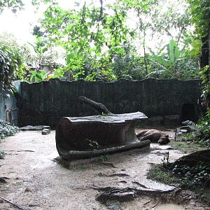 Zoo Negara Malaysia - Another Brown Bear exhibit