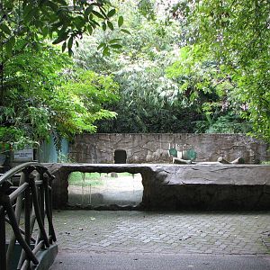 Zoo Negara Malaysia - Bear exhibit