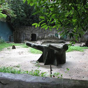 Zoo Negara Malaysia - Another bear exhibit