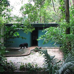 Zoo Negara Malaysia - Asiatic Black Bear exhibit