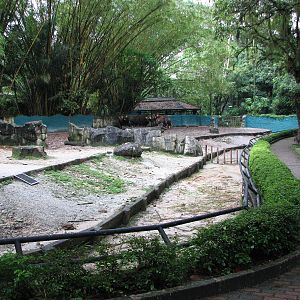 Zoo Negara Malaysia - Indian Gaur exhibit