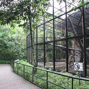 Zoo Negara Malaysia - Primate cages