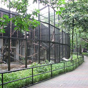 Zoo Negara Malaysia - Primate cages