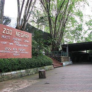 Zoo Negara Malaysia - Entrance to the multi-animal show