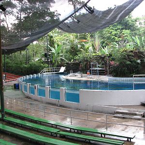 Zoo Negara Malaysia - Multi-animal show stage and pool