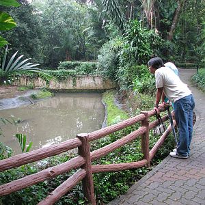 Zoo Negara Malaysia - Front of outside Gavial exhibit
