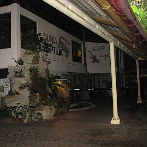 Zoo Negara Malaysia - Reptile House