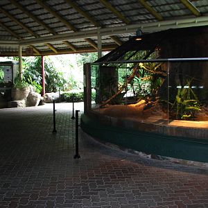Zoo Negara Malaysia - King Cobra exhibit inside the Reptile House