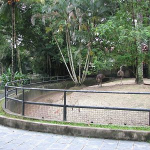 Zoo Negara Malaysia - Exhibit for Emu and Agile Wallaby