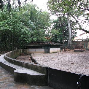 Zoo Negara Malaysia - Mixed deer exhibit