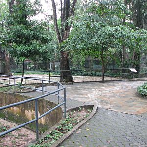 Zoo Negara Malaysia - End of the mixed deer exhibit