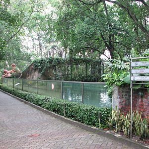 Zoo Negara Malaysia - Front of Big Cat row