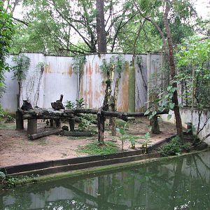 Zoo Negara Malaysia - Black Panther exhibit