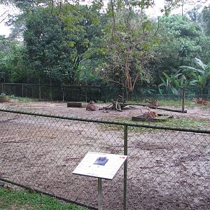 Zoo Negara Malaysia - Deer enclosure