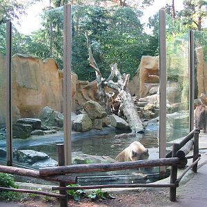 Dierenpark Amersfoort 2004 - Brown Bear exhibit