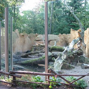 Dierenpark Amersfoort 2004 - Asiatic Black Bear exhibit