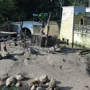 Dierenpark Amersfoort 2004 - Baboon exhibit