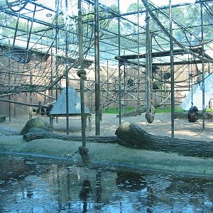 Dierenpark Amersfoort 2004 - Chimpanzee exhibit