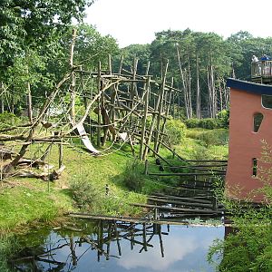 Apenheul 2004 - Bonobo exhibit and viewing deck