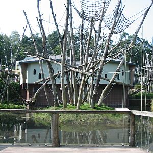 Apenheul 2004 - Orangutan exhibit