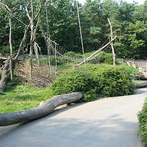 Apenheul 2004 - What was in this exhibit?