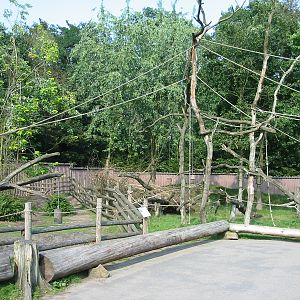 Apenheul 2004 - What was in this exhibit?