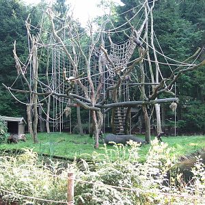 Apenheul 2004 - Wolly Monkey Island