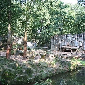 Dierenpark Rhenen 2004 - White lion exhibit