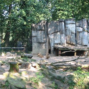 Dierenpark Rhenen 2004 - White lion exhibit