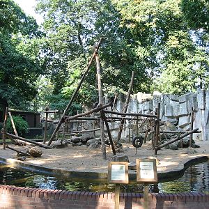 Dierenpark Rhenen 2004 - Barbary Macaque exhibit