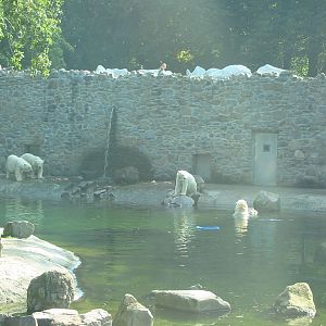 Dierenpark Rhenen 2004 - Part of the new Polar Bear exhibit