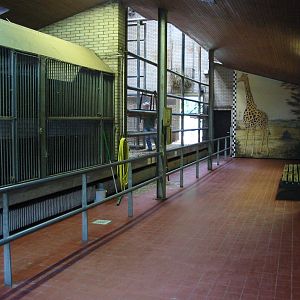 Dierenpark Rhenen 2004 - Inside the Giraffe House