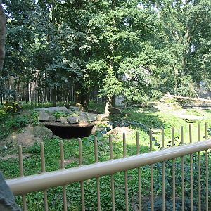 Dierenpark Rhenen 2004 - Tiger exhibit