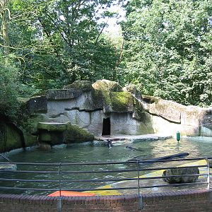 Dierenpark Rhenen 2004 - Tiny and old exhibit for California Sea Lions