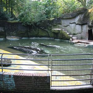 Dierenpark Rhenen 2004 - Tiny and old exhibit for California Sea Lions