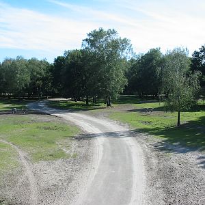 Safari Beekse Bergen 2004 - General view
