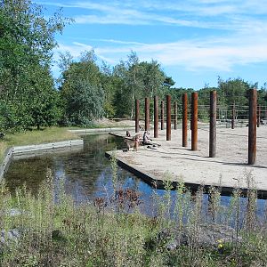 Safari Beekse Bergen 2004 - Paddock for African Elephants and Baboons