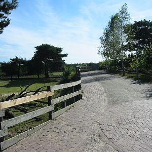 Safari Beekse Bergen 2004 - General view