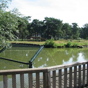 Safari Beekse Bergen 2004 - Siberian Tiger Island