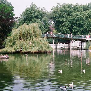 Diergaarde Blijdorp 1992 - Lake in the zoo