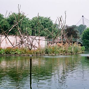 Diergaarde Blijdorp 1992 - I think there were Spider Monkeys on this island