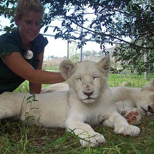 Feb 2010 - White Lion cubs