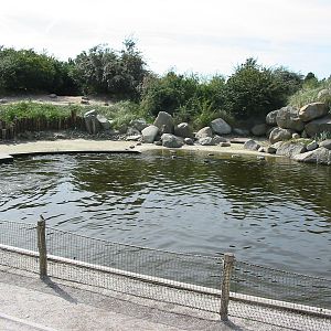 Dolfinarium Harderwijk 2004 - Mixed seal exhibit