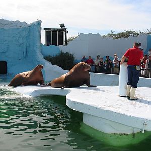 Dolfinarium Harderwijk 2004 - Walrus show in the old exhibit